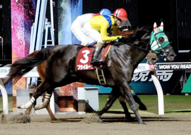 【川崎11R・報知新聞杯スパーキングスプリントチャレンジ】プライルードが1番人気に応え差し切りV　本田正重「道中も勝てる手応えでした」