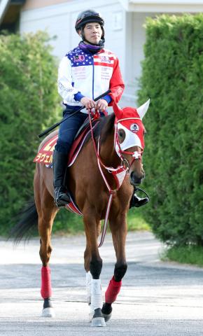 【ヴィクトリアM】4ハロン追いで仕上げたラヴェルは良馬場熱望　矢作調教師「馬場はいい方がいいと思う」