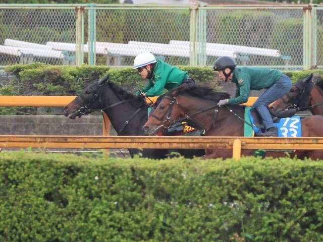 アルマヴェローチェ、オークス1週前追い切り速報/栗東トレセンニュース