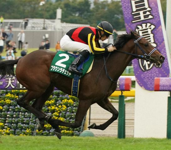 桜花賞9着ブラウンラチェット　レーンとの新コンビでオークス参戦