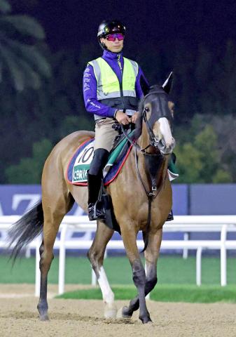 【注目馬動向】チェルヴィニアが新設重賞のしらさぎSへ参戦　昨年の桜花賞以来のマイル戦に挑む