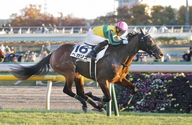 【古馬・注目馬動向】ベガリスはパラダイスSでリステッド連勝めざす　先週の谷川岳Sを制覇