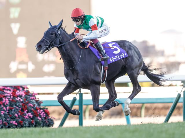 GI馬キラーアビリティが登録抹消 インドで種牡馬入り予定