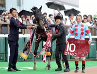 青葉賞を制したエネルジコ