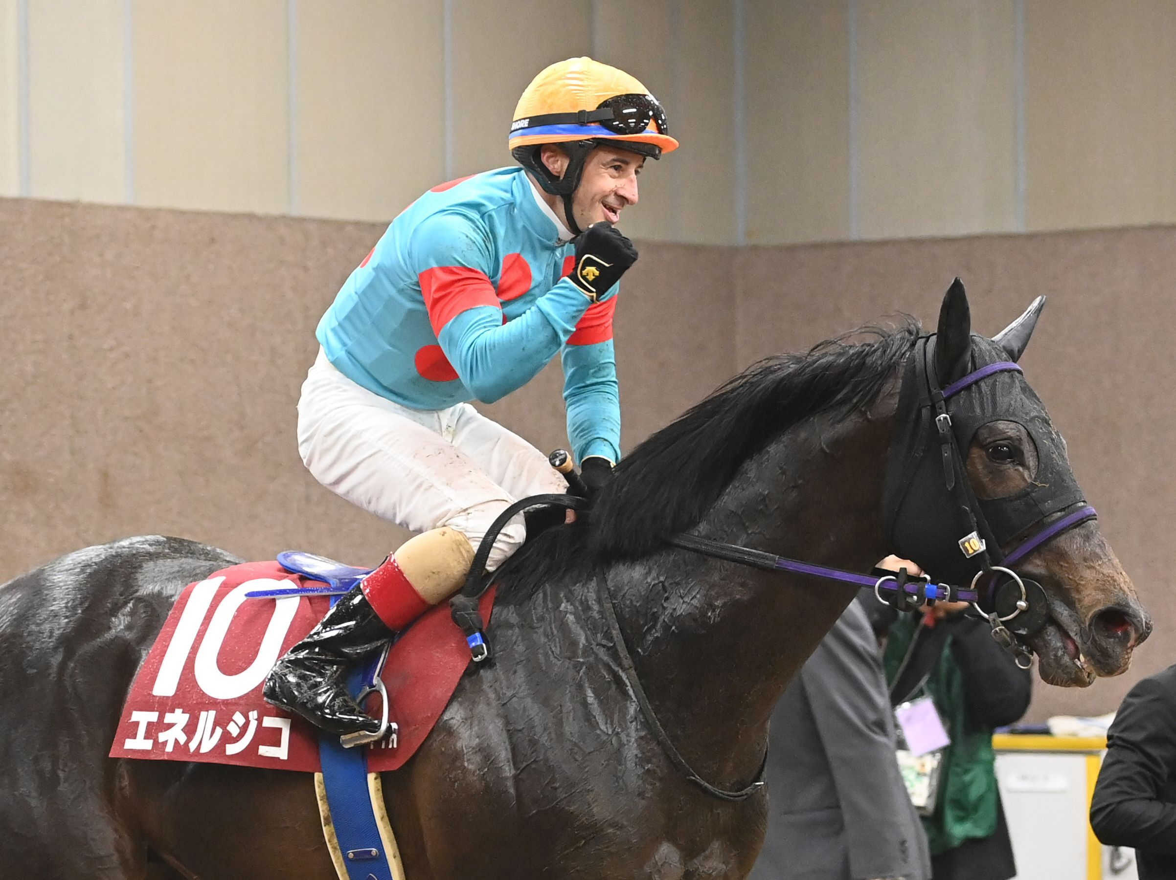 青葉賞覇者エネルジコ　ダービーへの出走見送り　今後の競走生活考えて無理はさせず