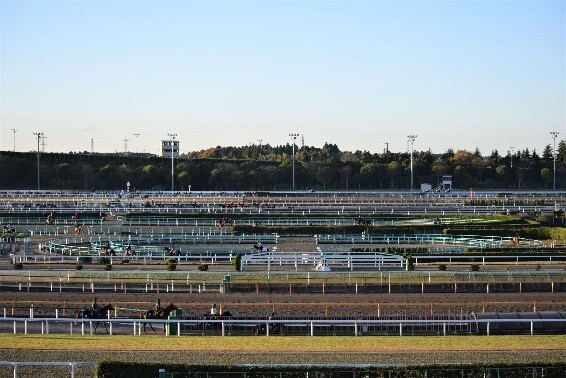 ふるさと納税でトレセン見学！ 美浦村が来月4日に村内ツアー