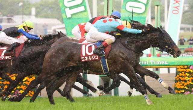 青葉賞覇者エネルジコ　日本ダービー回避…態勢が整わず　無敗3連勝中