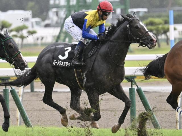 【信濃川特別】母は名牝アパパネ バードウォッチャーが連勝狙う