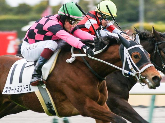 母は重賞4勝馬 3戦全て2着のスマートミストラルが初V狙う