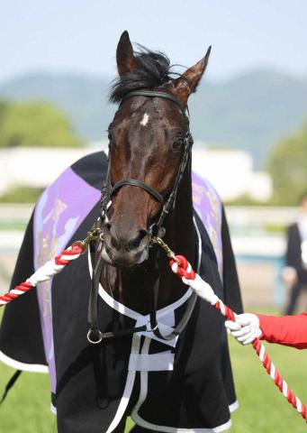 凱旋門賞登録78頭発表　日本調教馬はヘデントール、ビザンチンドリーム、クロワデュノールなど6頭