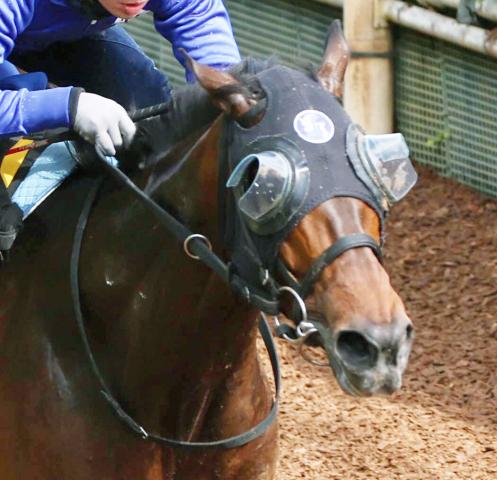 【エンプレス杯】武豊騎手騎乗の無敗馬オーサムリザルトは初黒星　デビュー9連勝ならず