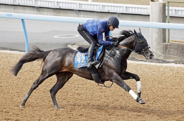 【新潟大賞典】エピファニーの鞍上は負傷の杉原誠人騎手に代わって荻野極騎手に
