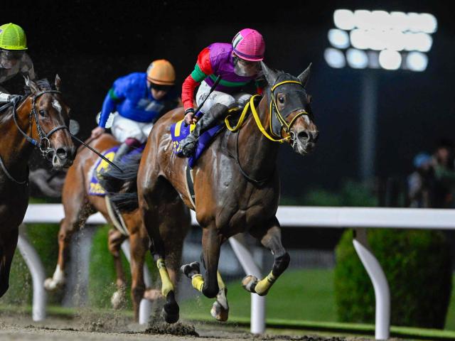 【川崎・エンプレス杯結果】テンカジョウが重賞3勝目を挙げる 2着オーサムリザルトは初黒星