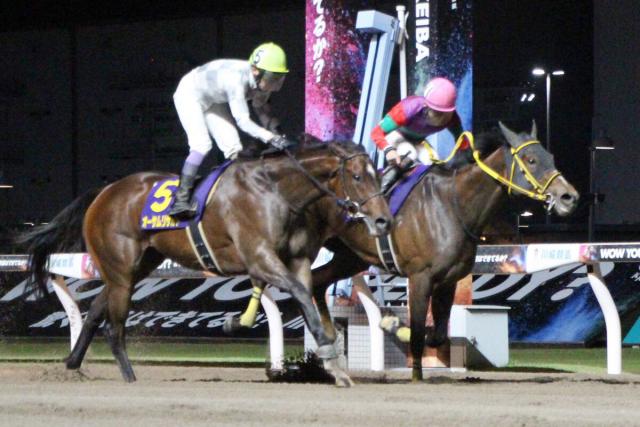 【エンプレス杯】オーサムリザルトは初黒星でデビュー9連勝ならず　武豊騎手「相手がしぶとくソワソワするところも」