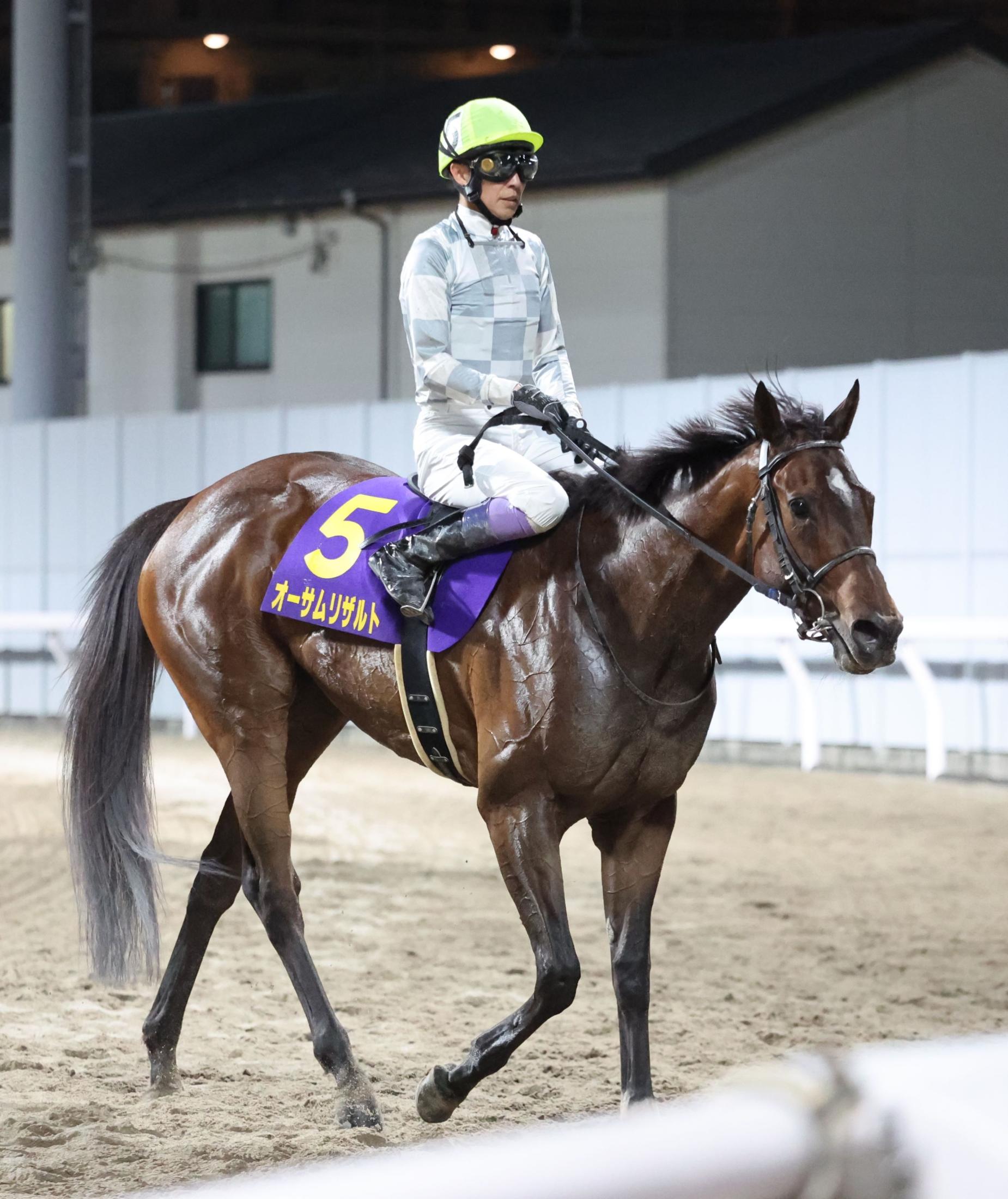 【地方競馬】エンプレス杯　オーサムリザルトは連勝８でストップ