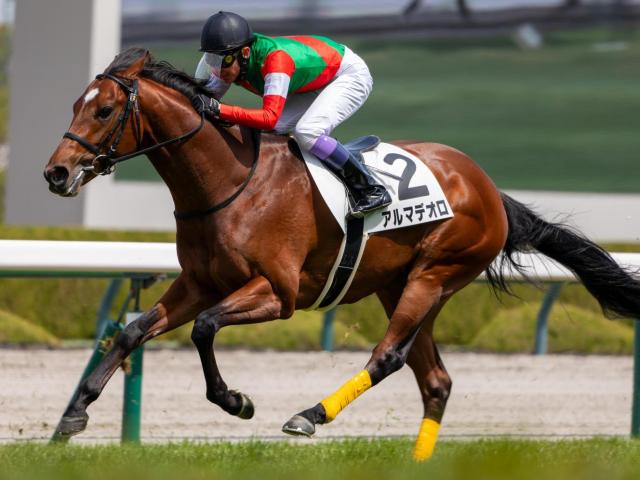 半兄は名馬キタサンブラック アルマデオロが待望の初勝利なるか