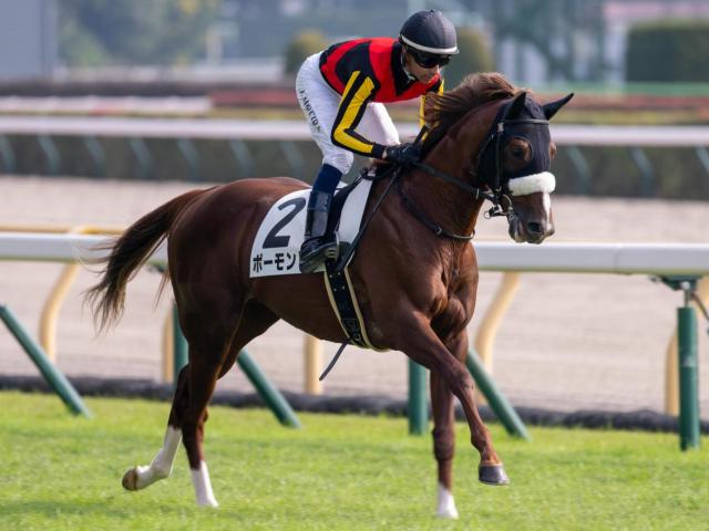 【テレ玉杯】エアグルーヴ一族のボーモンド C.ルメール騎手で連勝なるか