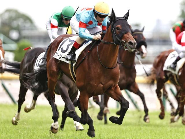 【BSイレブン賞】半姉は名牝ミッキークイーン ニュージーズがダート初挑戦だ