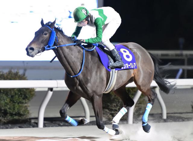【GDJ古馬・春シーズン】北海道のサンオークレアが総合優勝　ボーナス賞金1000万円獲得