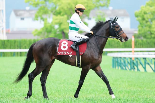 SHO　TIME再び　ショウヘイ次走6・1日本ダービー　ルメール騎手と新たなコンビで競馬の祭典盛り上げる