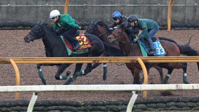 【オークス1週前追い】アルマヴェローチェ3頭併せ貫禄先着!上村師「素軽い動きだった」