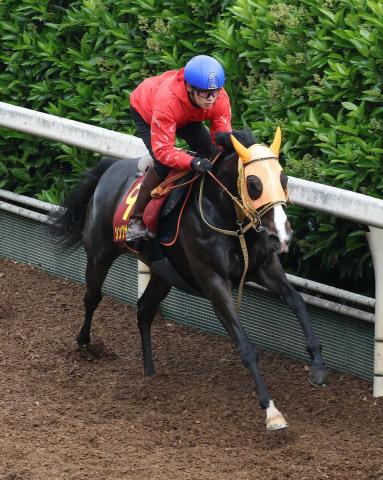 【ヴィクトリアM】シングザットソング　リズム良く状態絶好　高野師「距離はこなせると思う」
