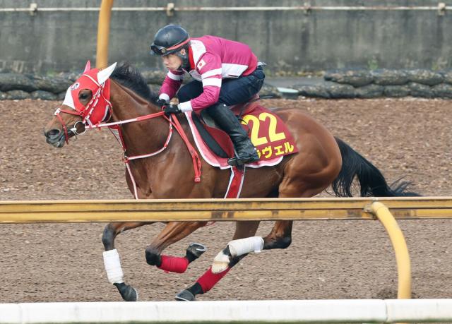 【ヴィクトリアM】津村明秀騎手が連覇へ末脚の威力増した注目馬とタッグ　桜花賞以来のマイル戦も「府中なら…」陣営期待　