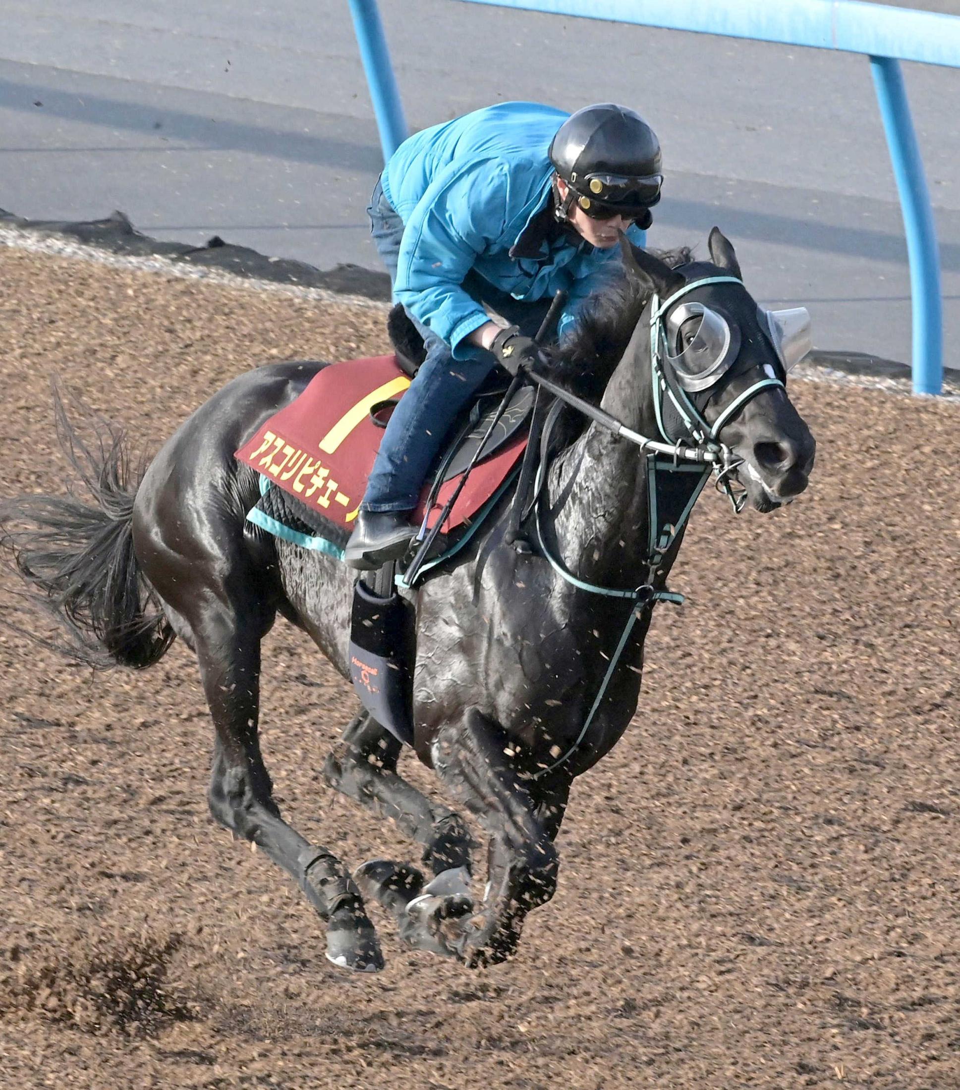 【ヴィクトリアＭ】アスコリピチェーノ　極上！海外帰りも不安全くなし　黒岩師「経験が糧に」精神面成長