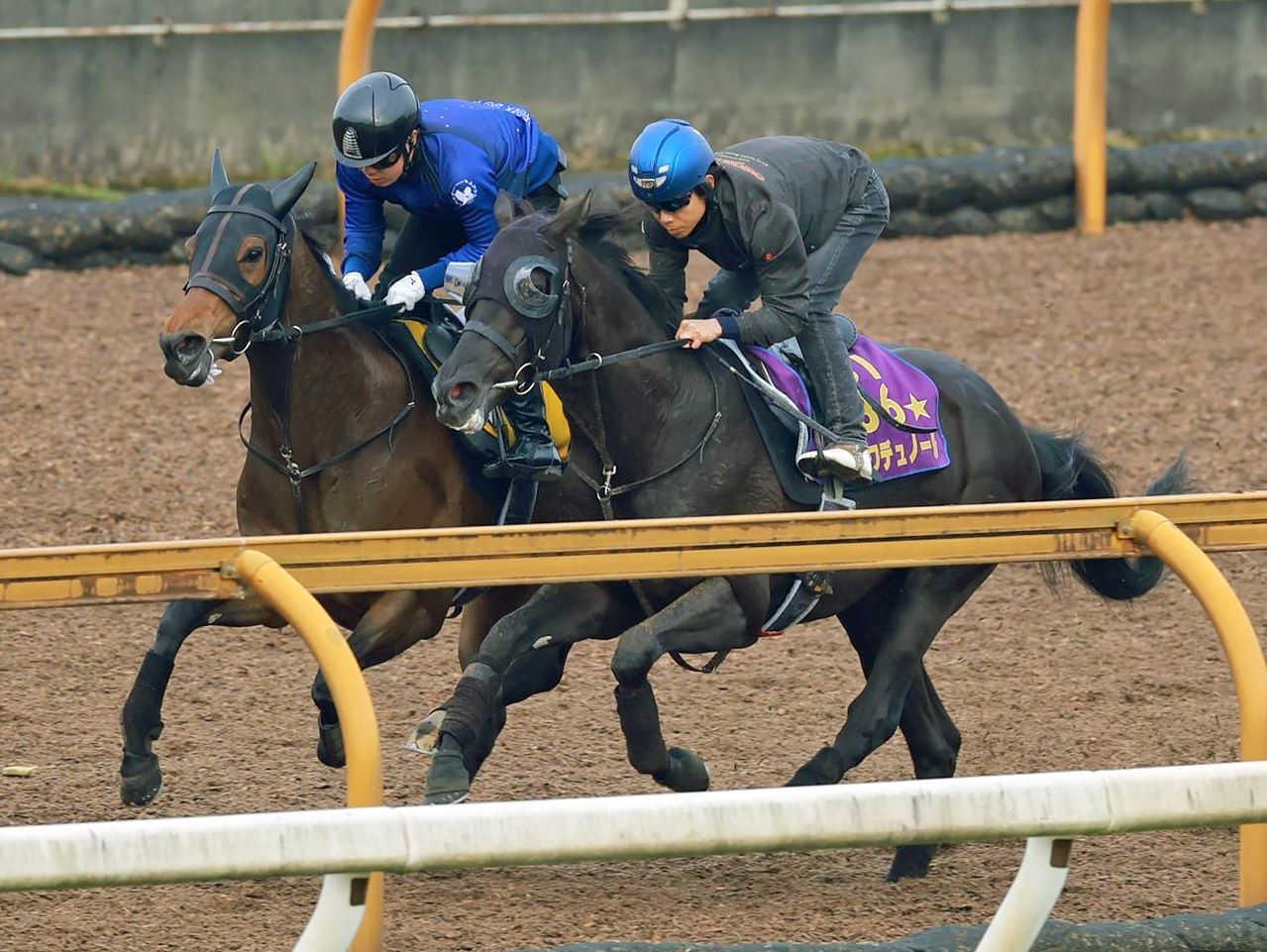 【ダービー】クロワデュノール　余力残して併入　斉藤崇師「何も言うことはない」