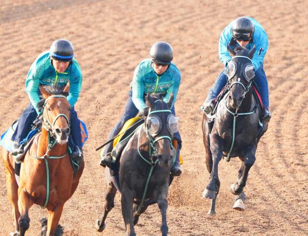 【ヴィクトリアM】アスコリピチェーノ豪快加速力!馬なりでWコース自己ベスト6F79秒1