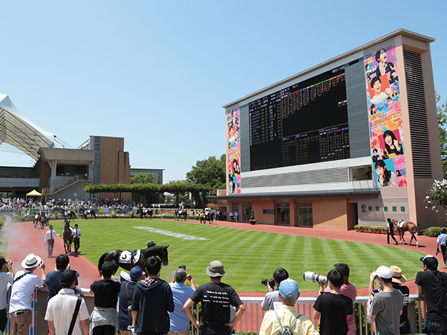 【新潟大賞典出走馬・騎手確定】ディマイザキッド＆岩田望来騎手、レガーロデルシエロ＆戸崎圭太騎手など16頭