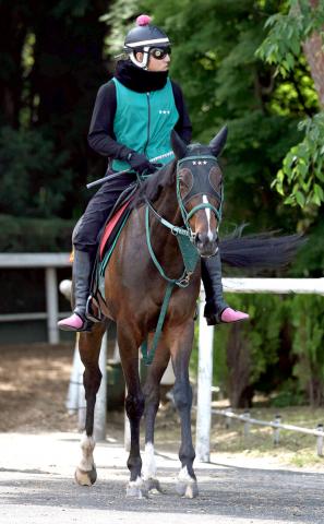 【ヴィクトリアマイル】1ハロン11秒7で鋭く伸びたビヨンドザヴァレー　菱田裕二騎手「今回が一番いいと思います」
