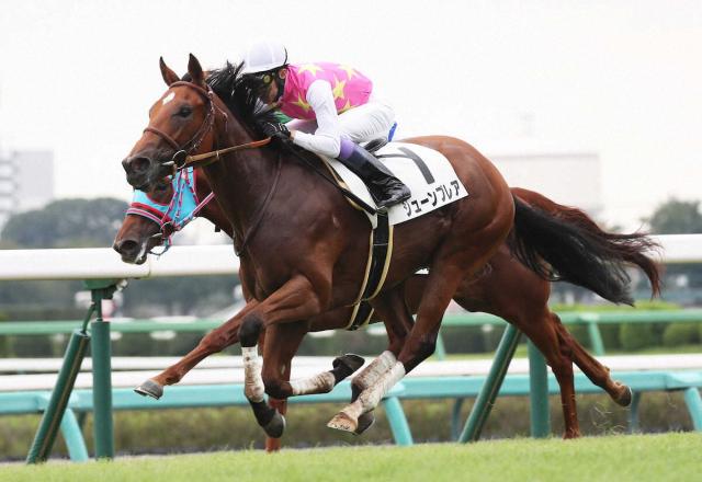 ジューンブレアは武豊とのコンビで函館スプリントSへ