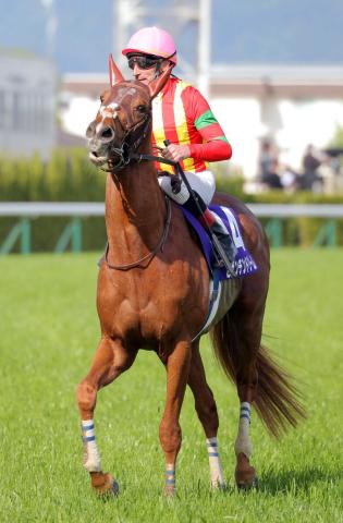 【注目馬動向】ビザンチンドリームが凱旋門賞に登録　坂口調教師「前向きに考えたいと思います」