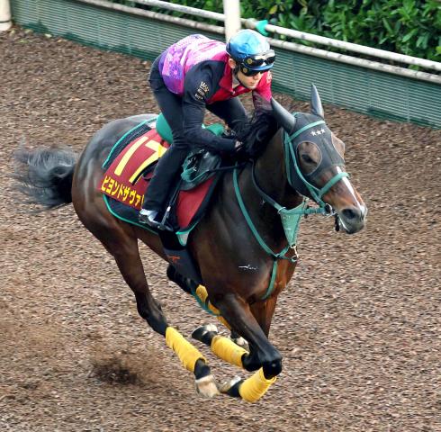 【ヴィクトリアマイル】1ハロン11秒7で鋭く伸びたビヨンドザヴァレー　菱田裕二騎手「今回が一番いいと思います」