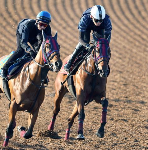 【オークス1週前】牝馬2冠へピッチを上げるエンブロイダリー　森一調教師「息づかいもいい」