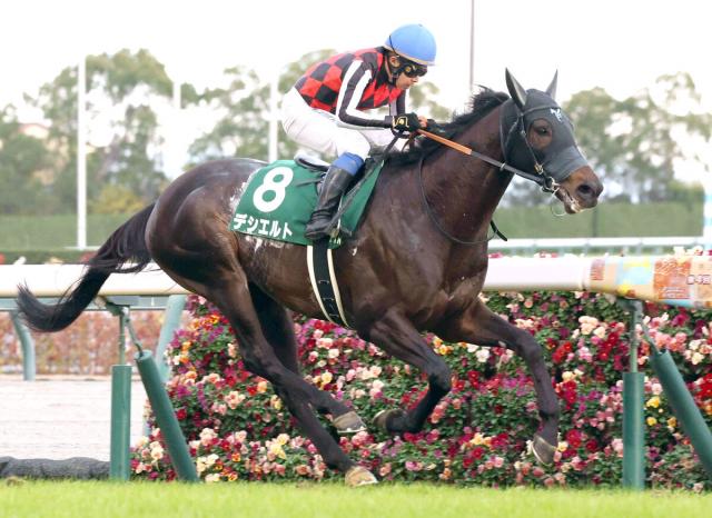 【注目馬動向】「二刀流」ホースのデシエルトは函館記念か帝王賞の両にらみ　安田翔調教師が公式Xで明かす