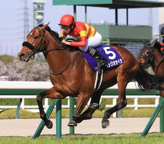 【宝塚記念】ファン投票第1回中間発表　ベラジオオペラが9万1593票で1位　2位レガレイラ