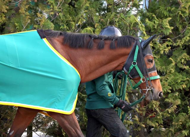 【注目馬動向】ベラジオオペラはG1連勝のかかる宝塚記念へ馬場入り再開　上村調教師「いい状態で帰ってきた」