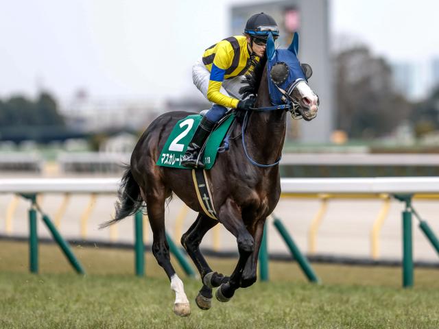 【POG】皐月賞3着馬マスカレードボールが中間初時計 柔軟性のある走り/馬三郎のつぶやき