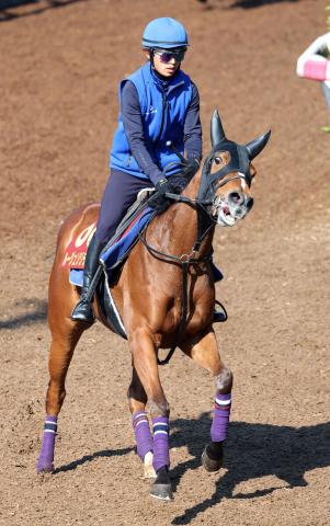 【注目馬動向】スイートピーS勝ちのルージュソリテールがオークスを回避　レース後の回復が遅れているため