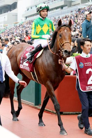 サトノレーヴはクイーンエリザベス2世ジュビリーSもモレイラ騎手とコンビ　サクラトゥジュールは安田記念へ