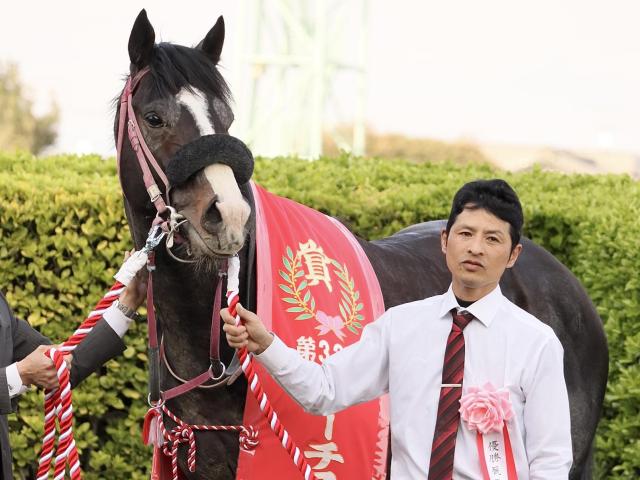 【平安S】16年ぶりの“記録”に挑戦 ブライアンセンスが重賞連勝へ