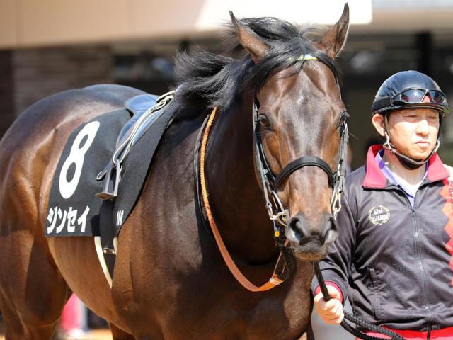 【平安S】ダートで覚醒したジンセイ 重賞初制覇狙う