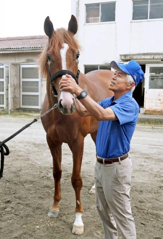 【POG】名牝アーモンドアイの2番子プロメサアルムンドが美浦トレセンに入厩　国枝調教師「いい馬だよなあ」
