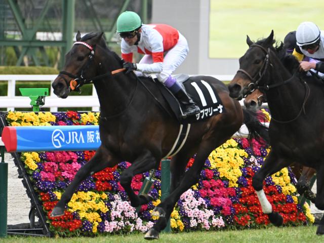 【新潟大賞典予想】ハンデ戦らしく人気薄にもチャンスあり！ 不安要素を抱えている人気馬とは