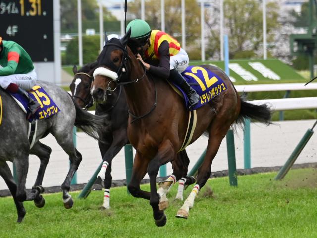 【ヴィクトリアM予想】大敗直後の馬は前走の距離に注目！ 牝馬トップクラスの能力馬に立ちはだかる消去法データとは