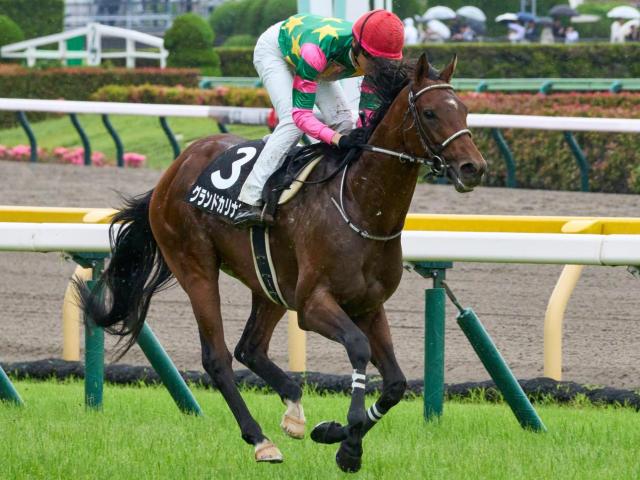 新潟大賞典は道悪必至 グランドカリナンの一発があるぞ