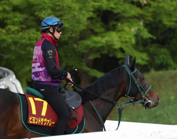 【ヴィクトリアM】ビヨンドザヴァレー　東京で“血が騒ぐ”イスラボニータ産駒はコース別最多40勝