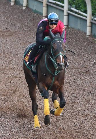 【ヴィクトリアM】ビヨンドザヴァレー　自己ベスト11秒7!　橋口師「今週も一発狙いたい」